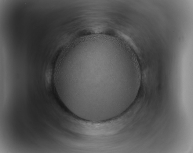 X0000090470018200707131306