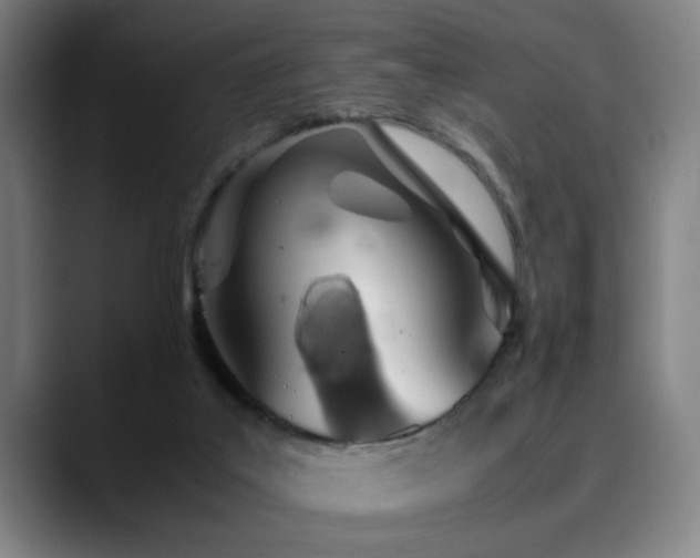 X0000090470019200707131306