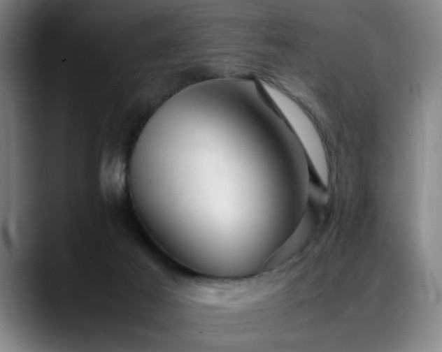 X0000090470021200707131306