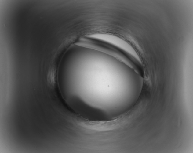 X0000090470023200707131306