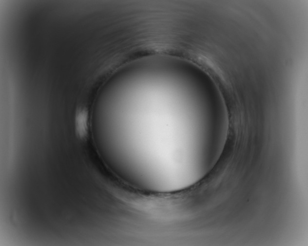 X0000090470024200707131306