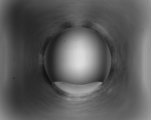 X0000090470025200707131306