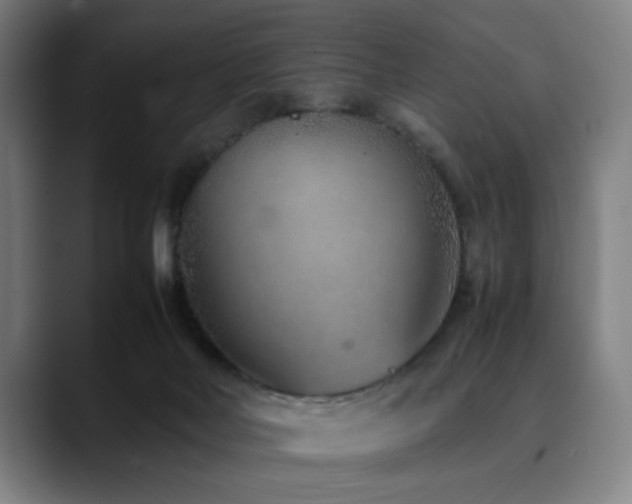 X0000090470026200707131306