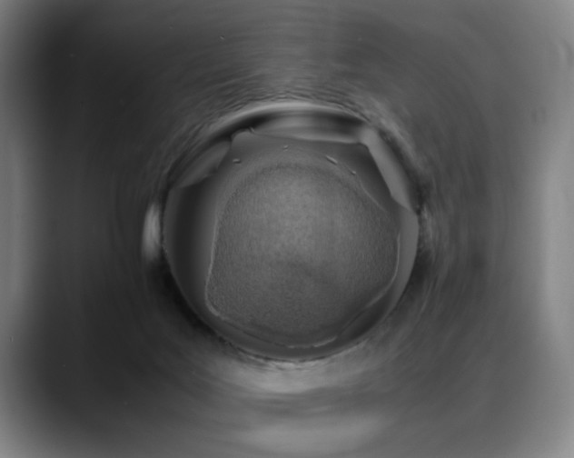 X0000090470027200707131306