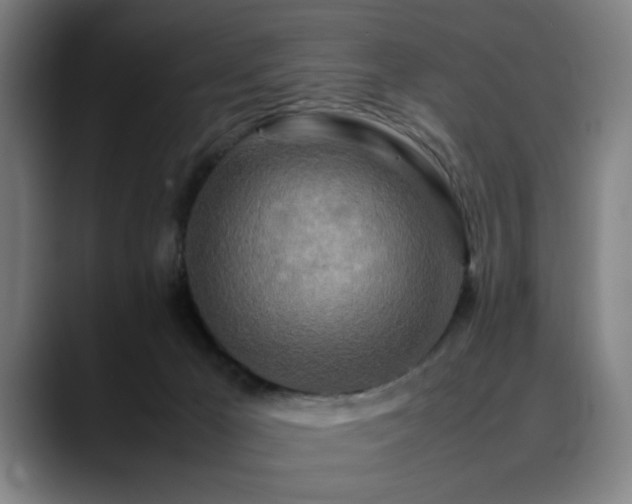X0000090470029200707131306