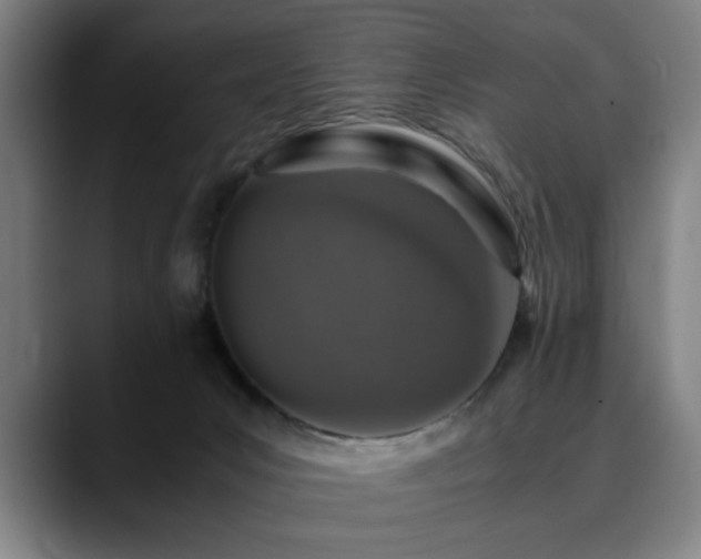 X0000090470031200707131306
