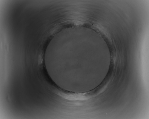 X0000090470032200707131306