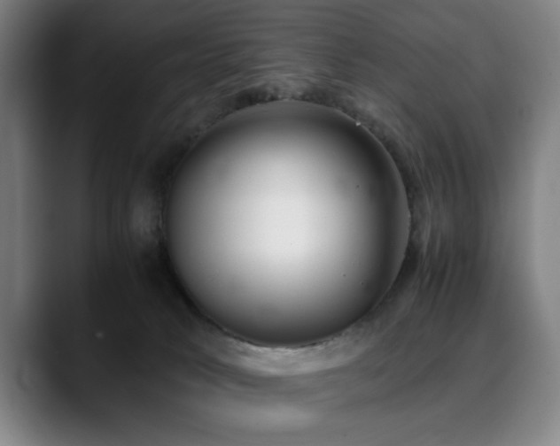 X0000090470034200707131306