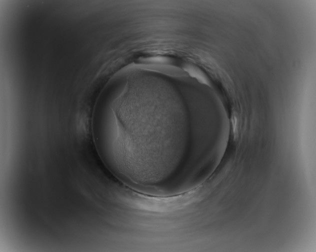 X0000090470035200707131305