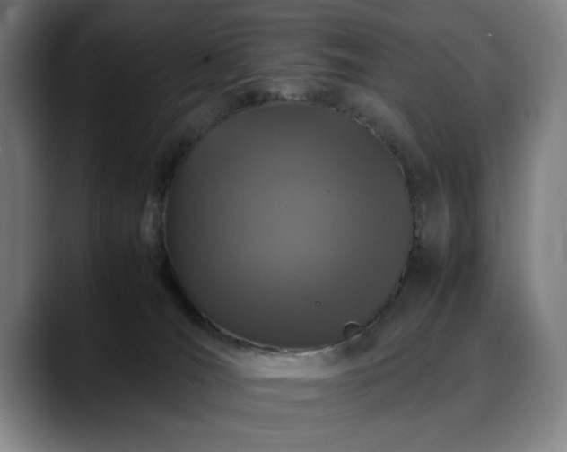 X0000090470036200707131305