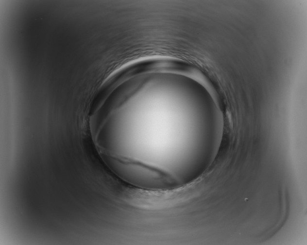 X0000090470037200707131305