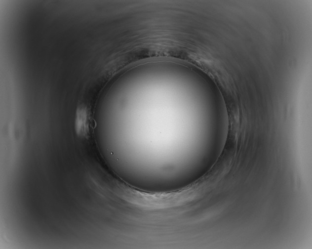 X0000090470038200707131305