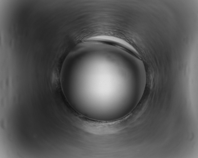 X0000090470040200707131305