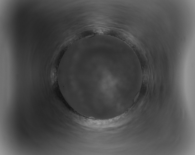 X0000090470043200707131305