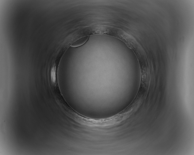 X0000090470046200707131305