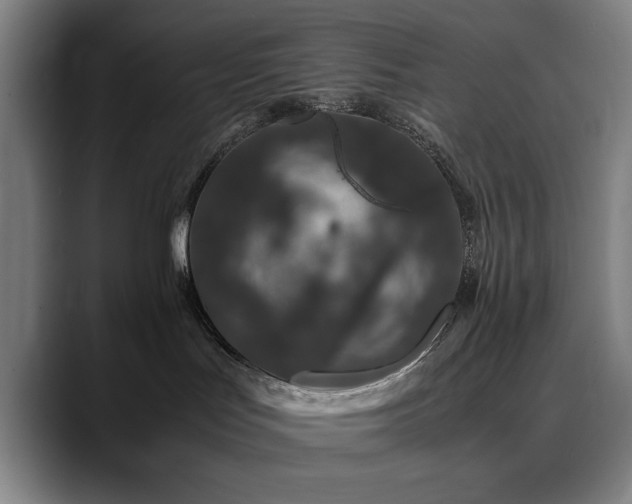 X0000090470047200707131305