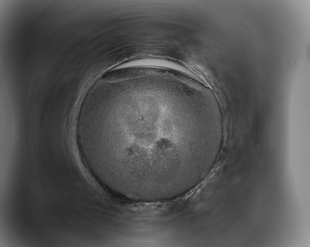 X0000090470049200707131305