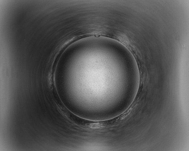 X0000090470050200707131305