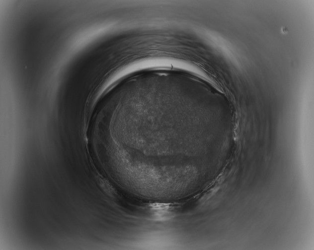X0000090470052200707131305