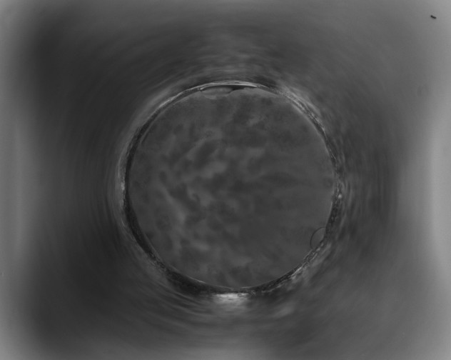 X0000090470053200707131305