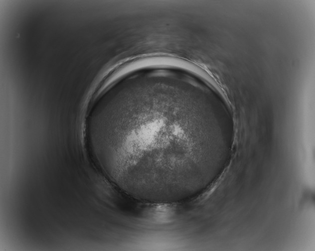 X0000090470056200707131305