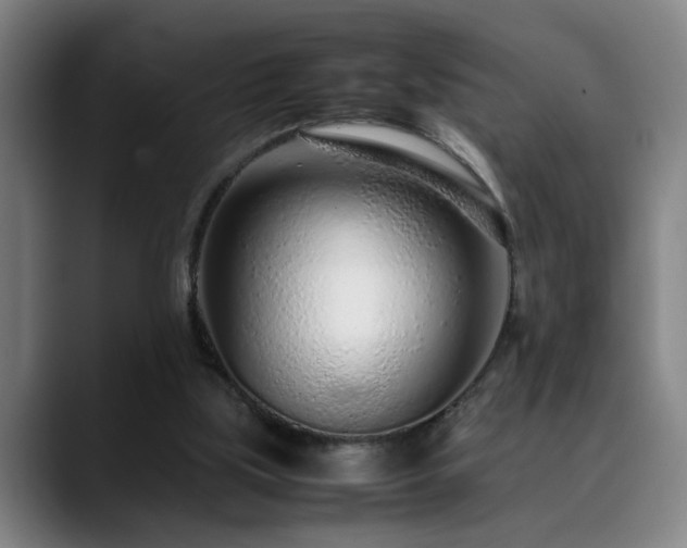 X0000090470059200707131305