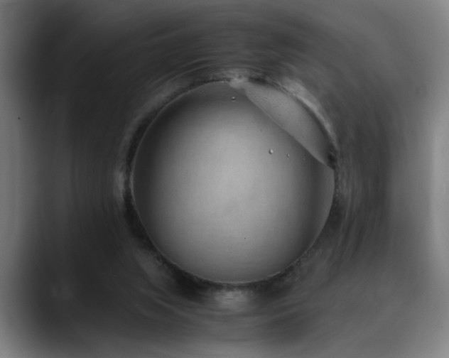 X0000090470063200707131305