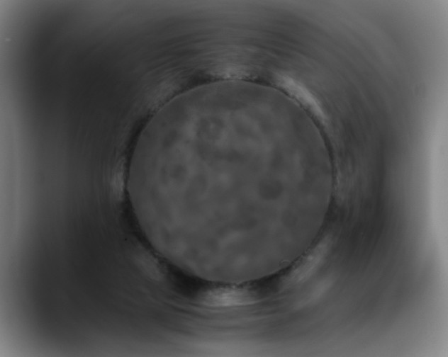 X0000090470065200707131305