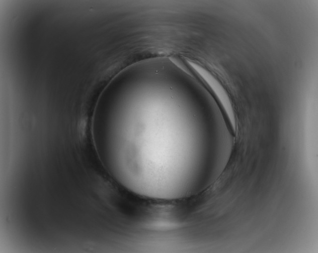 X0000090470066200707131305