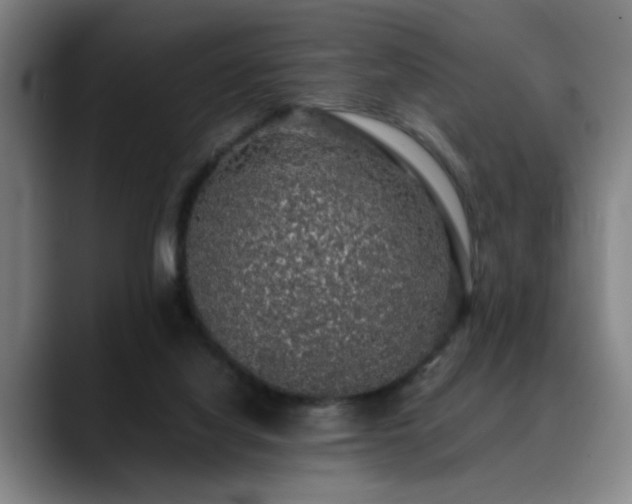 X0000090470068200707131305