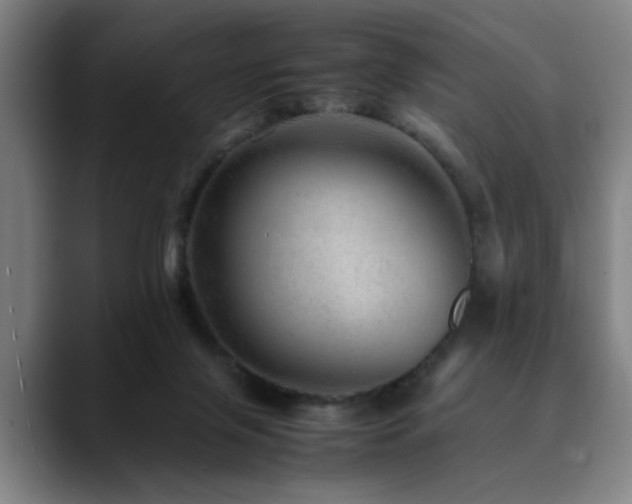 X0000090470071200707131305