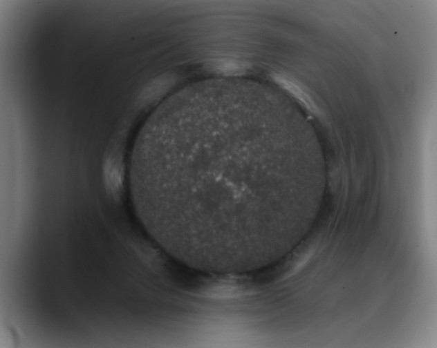 X0000090470072200707131305