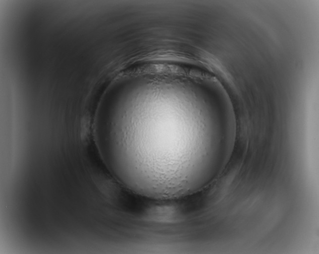 X0000090470073200707131305