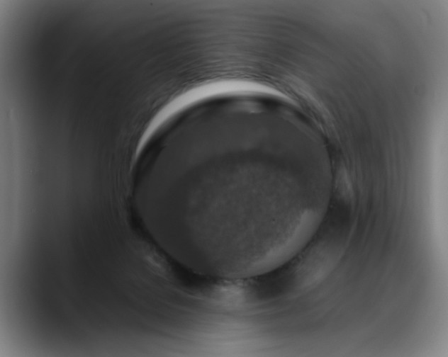 X0000090470076200707131305