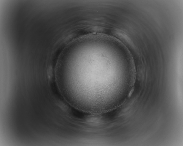 X0000090470077200707131305
