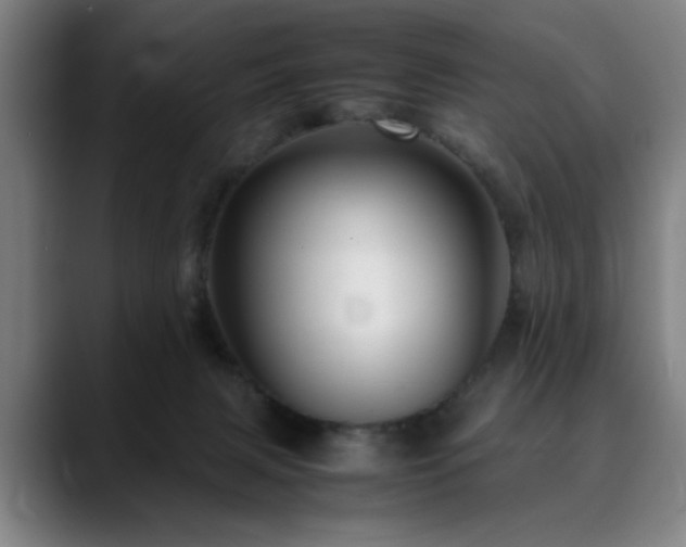 X0000090470079200707131305