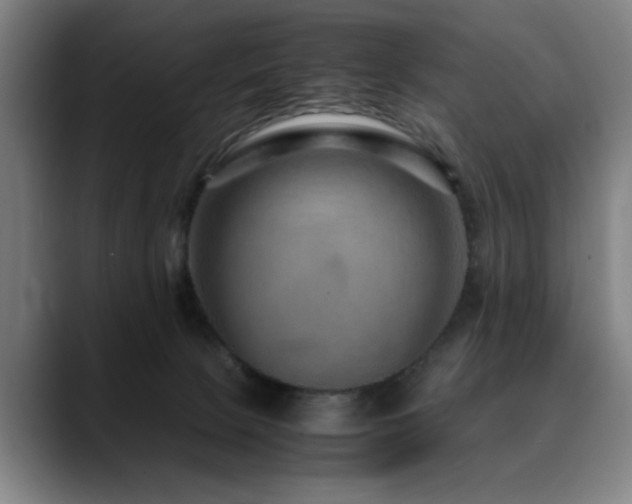 X0000090470081200707131305