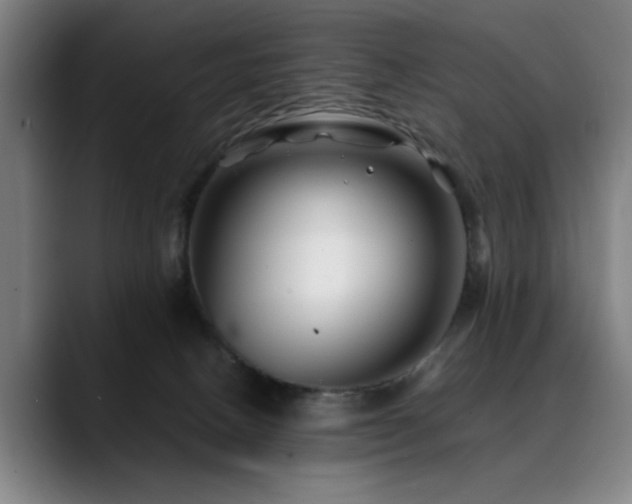 X0000090470082200707131305