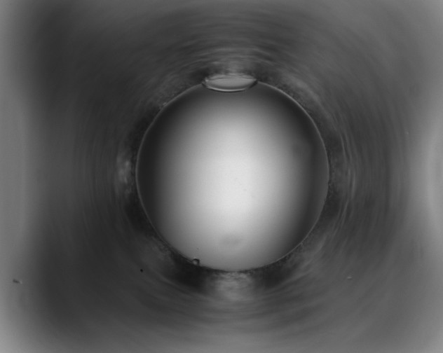 X0000090470087200707131305