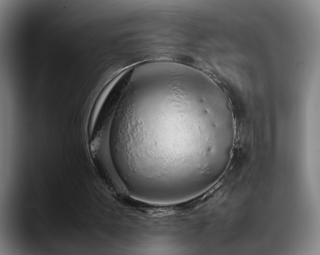 X0000090470099200707131305