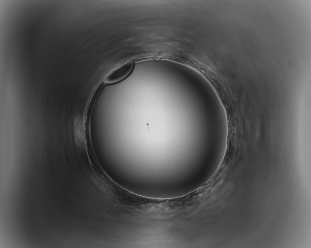 X0000090470100200707131305
