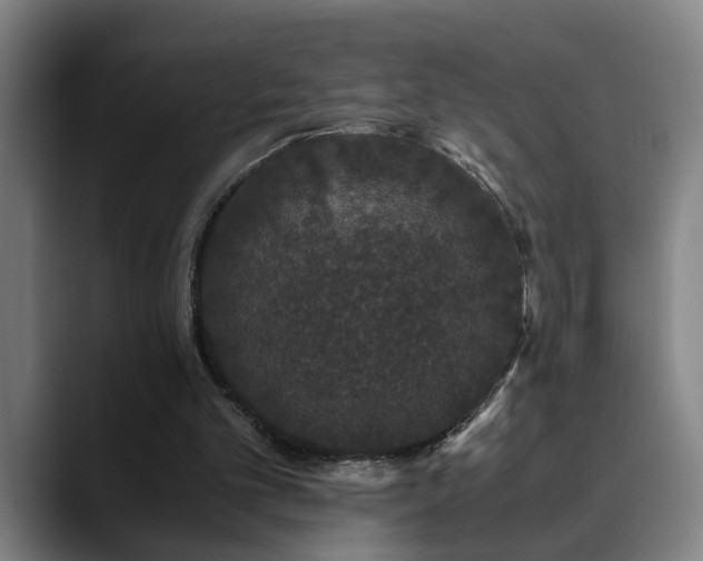 X0000090470101200707131305