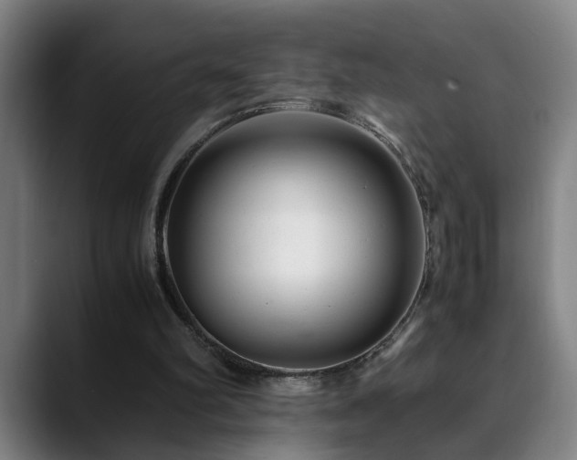 X0000090470102200707131305