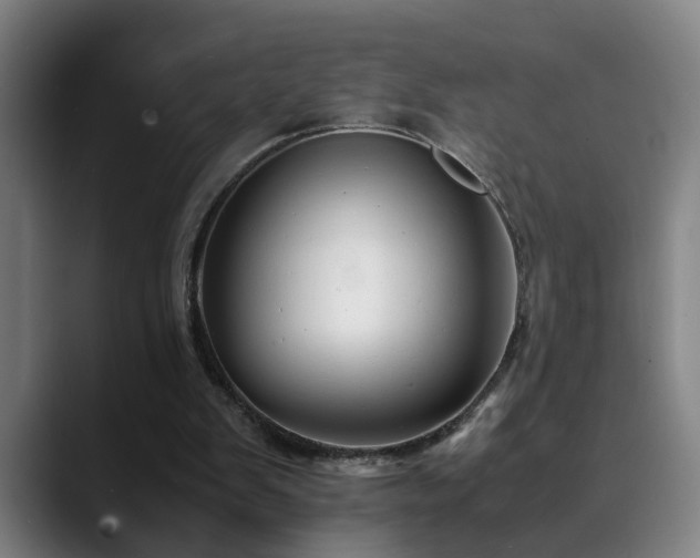 X0000090470103200707131305