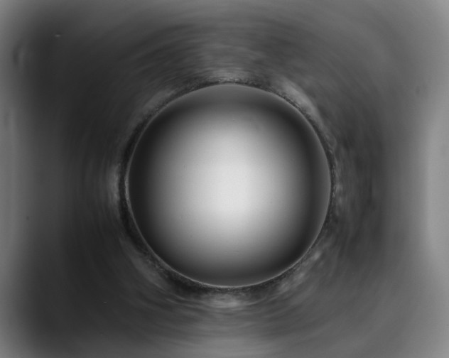 X0000090470106200707131305