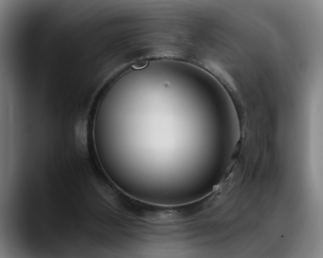 X0000090470108200707131305