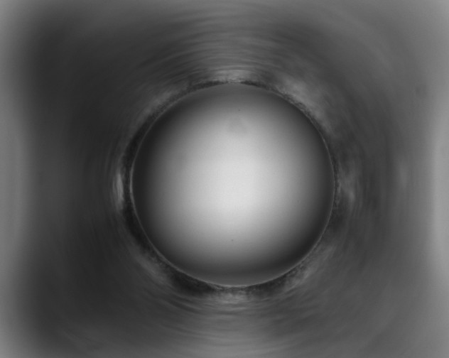 X0000090470110200707131305