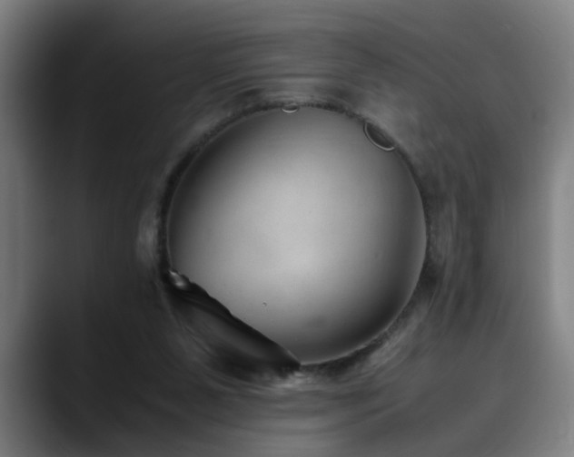 X0000090470111200707131305