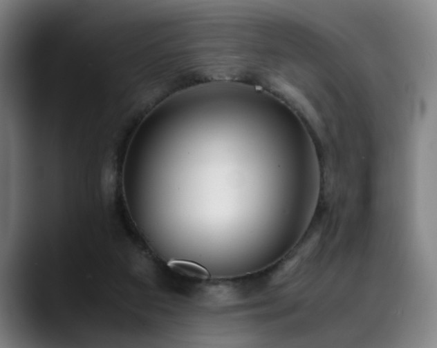 X0000090470113200707131305