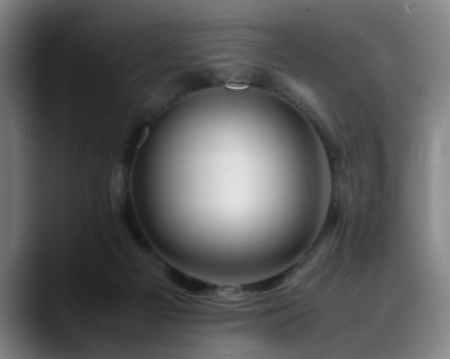 X0000090470121200707131304